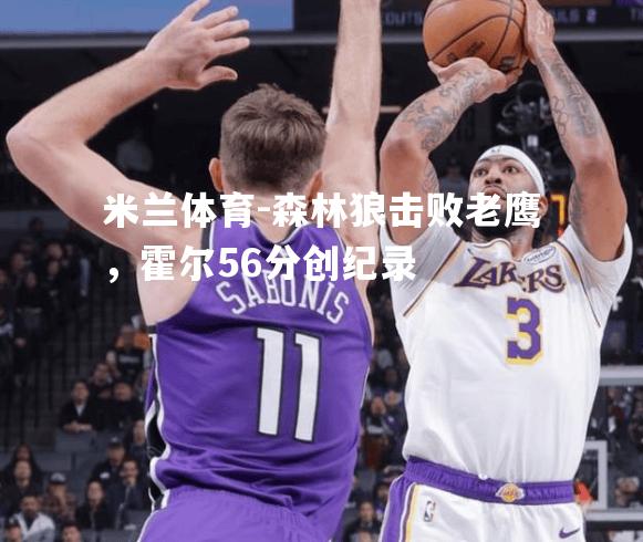 森林狼击败老鹰，霍尔56分创纪录