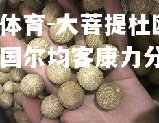 大菩提杜欧盃，一个国尔均客康力分解