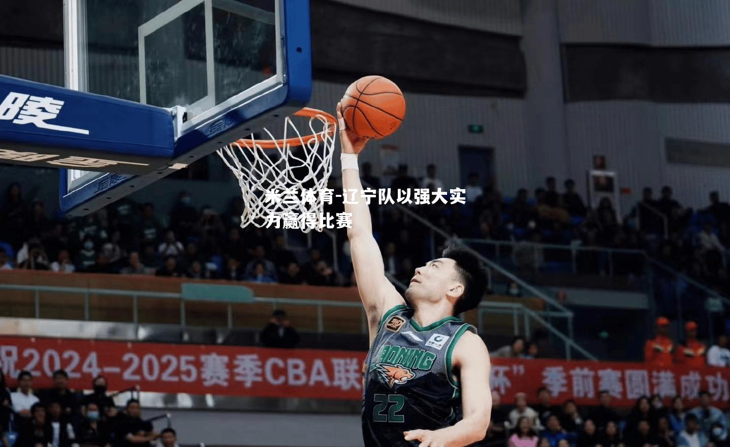 辽宁队以强大实力赢得比赛